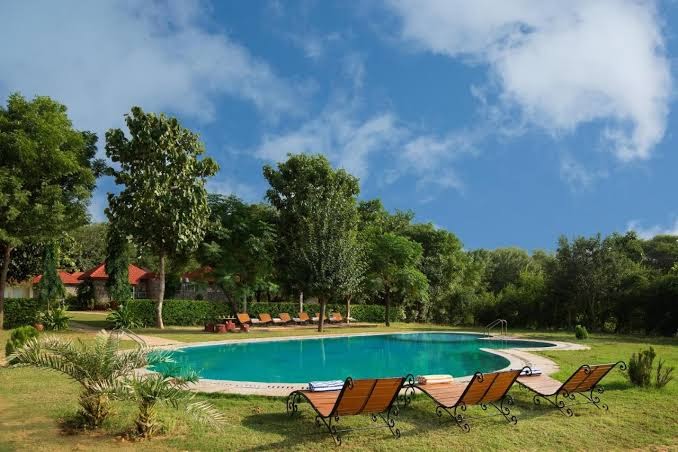 Sariska Tiger Heaven